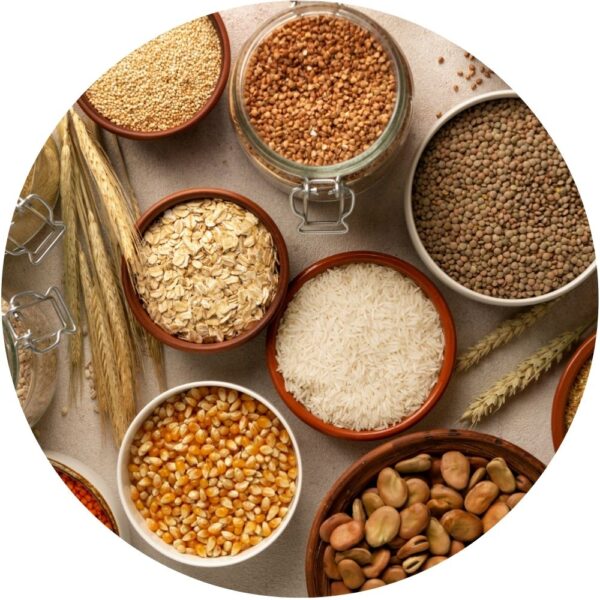 all_grains_circle1 all_grains_circle1